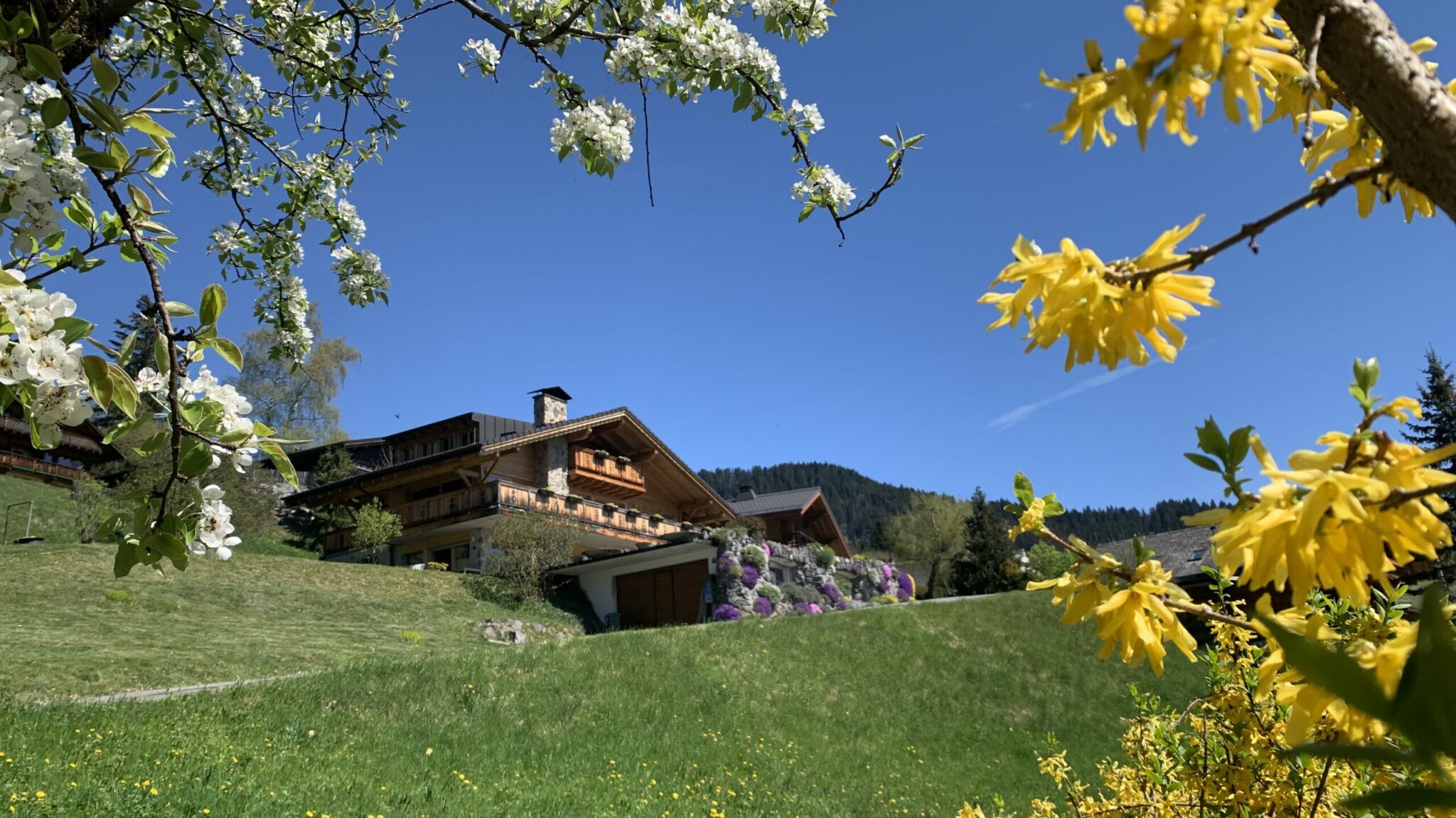 Chalet La Renarde